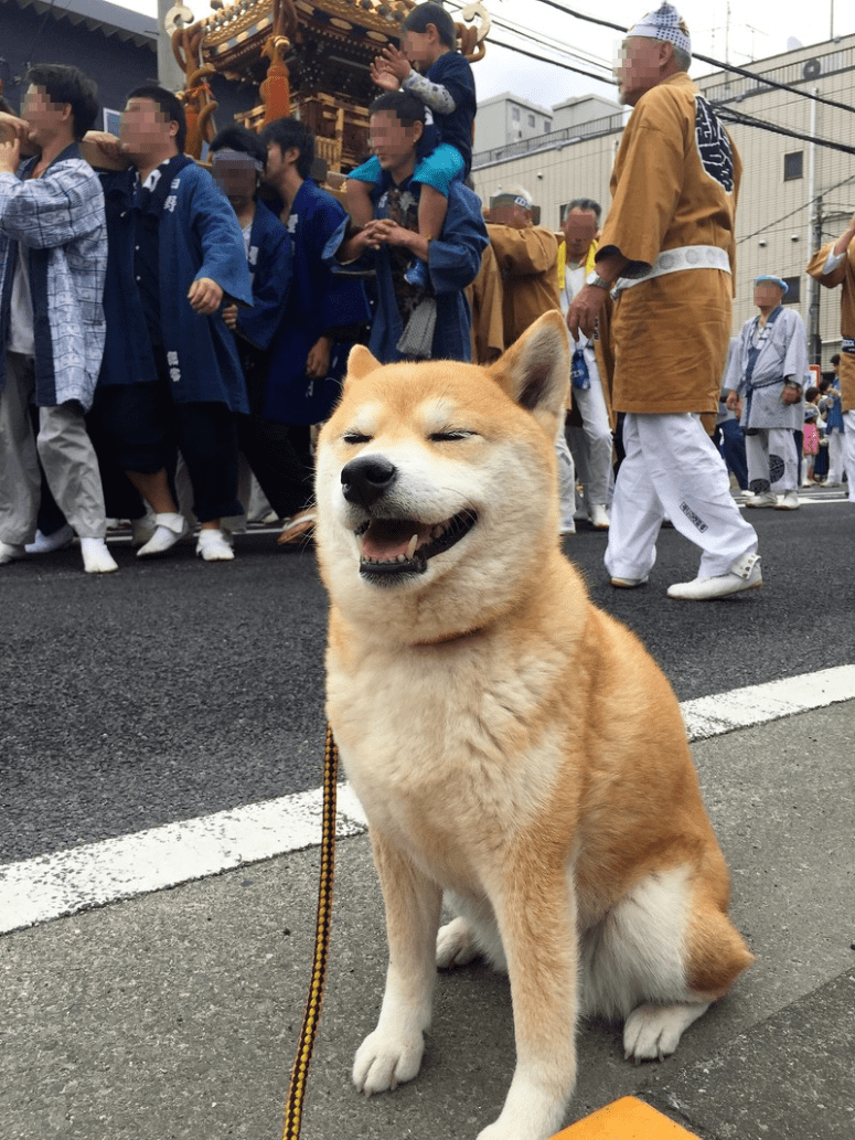 aYucsSv5Id6UQYX1495002831_1495002981