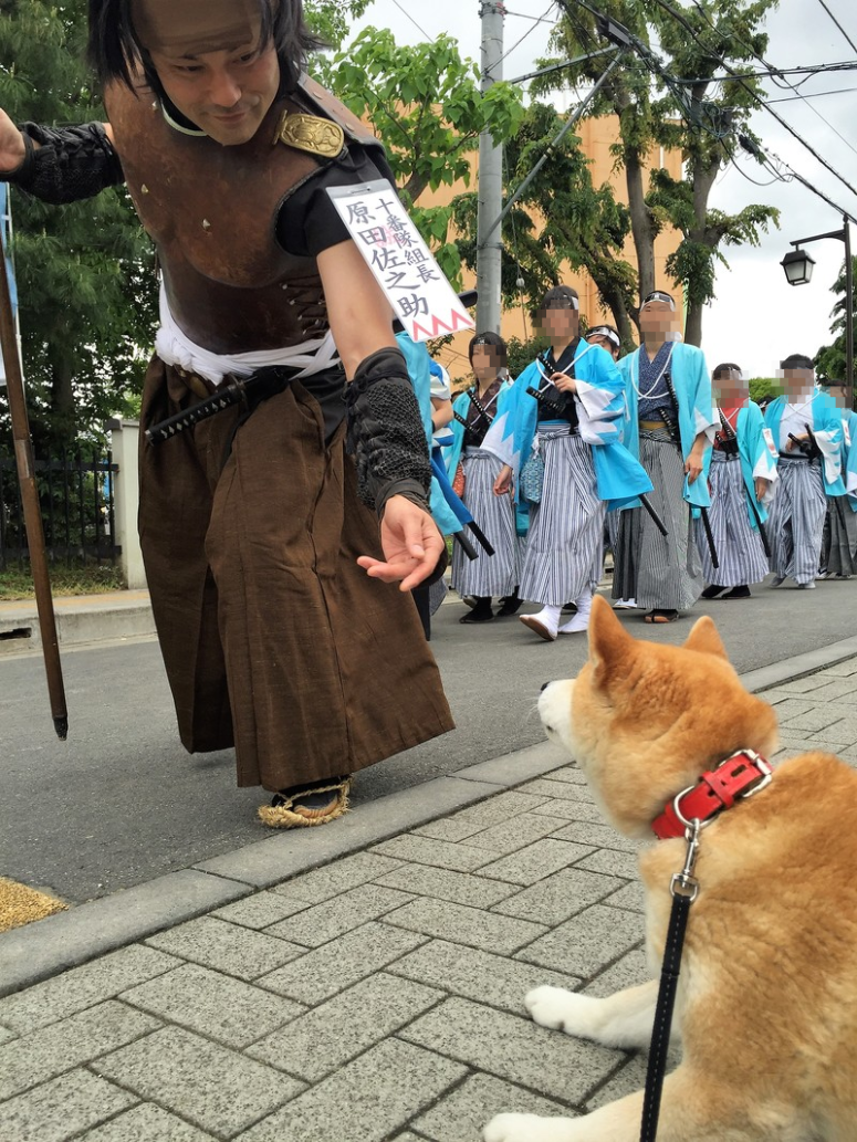 f9uOlZHH5hzq0ke1495003350_1495003433