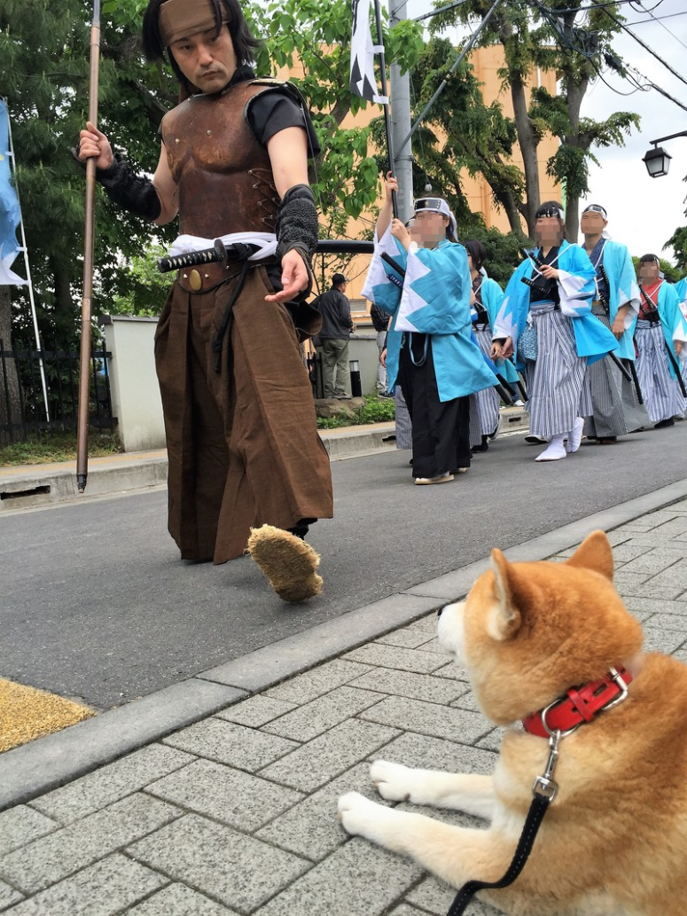 LjV3LYD7soK72Jr1495003246_1495003306