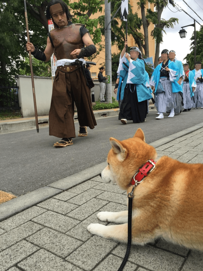 qiTI_FFGkNtiiR81495003124_1495003216