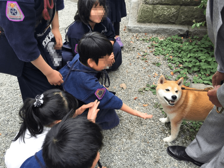 sABVqyrwZx_I9fy1495002320_1495002411