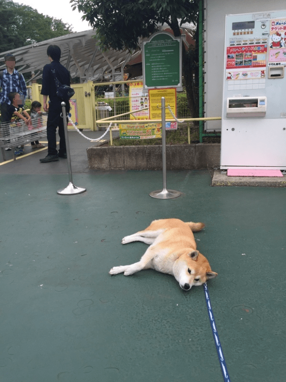 F7N9absjOFPZOSR1499233477_1499233528