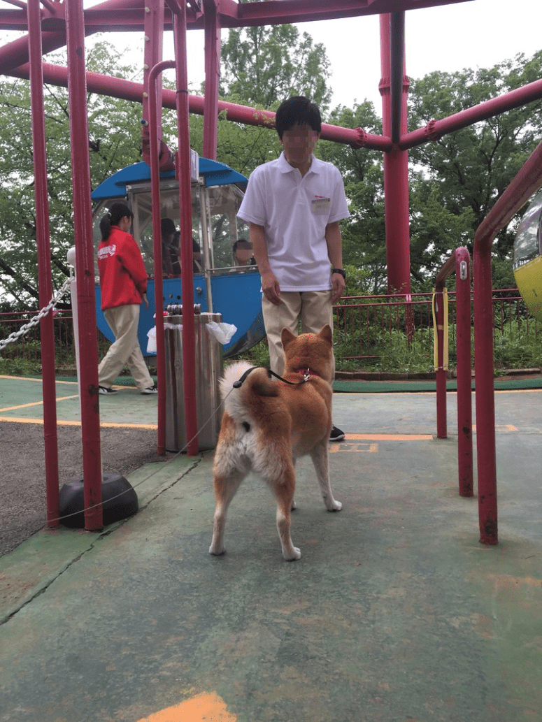 FK6iMQxGTeMZPi21499233152_1499233194